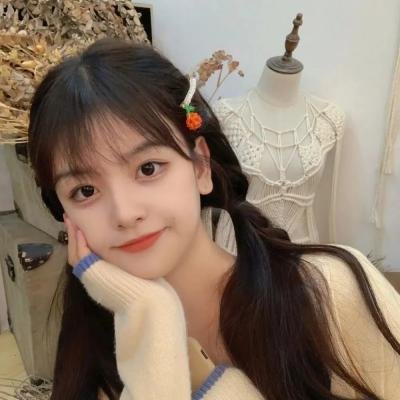 非洲的动物上班族